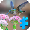 Marvelous Humminbird Jigsaw Pu