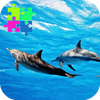 Wild Dolphins Jigsaw Puzzle Ga