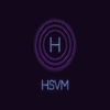 HSVM Consultation