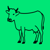 Cattle Feeds Formulation App