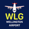 Wellington Airport Flight Info