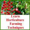 Learn Horticulture farming Tec