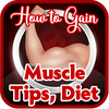 How to Gain Muscle Tips Diet
