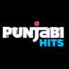Punjabi Hits