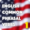English Phrasal Verbs Master