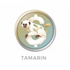 Tamarin: Travel Money Tools