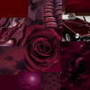 Burgundy Aesthetic Wallpapers