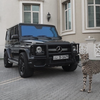 صور خلفيات سيارات خليجية