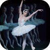 Ballet Lessons Guide at Home