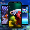 Fish Beautifull Wallpaper