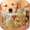 Dynamic Sleeping Puppy Keyboar