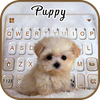 Innocent Puppy Keyboard Theme