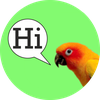 Parrot Speak