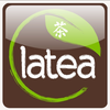 Latea