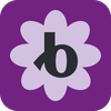 Bloomerang Volunteer