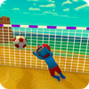 Crazy Fun Football 3D