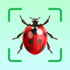 Insect Identifier: Bug ID App