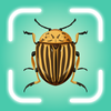 Insect ID: Bug Identifier App