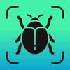 Insect Identifier - Insectium