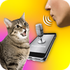 Cat translator: Cat sounds App