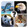 Animals quiz - guess animal