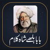 Baba Bullay Shah Poetry Kalam