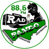 Radio Pando Fm