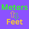 Meters to Feet Converter