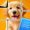 Jigsaw Solitaire: Card Puzzle