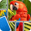 Jigsaw Card: Puzzle Game