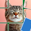 Jigsaw Solitaire