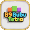 B9Bubu Tetra