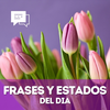 Frases y Estados del Dia