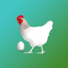 Chicken Breeds ID & Guide