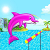 Dolphin Water Show