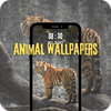 Animal Wallpapers