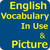 English Vocabulary In Use