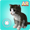 Cute Cat Ar