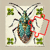Insect Collection Puzzle