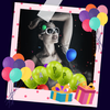 Birthday Bit Music Video Maker