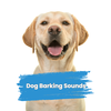 Real Dog Barking Sounds