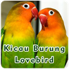Kicau Burung Lovebird