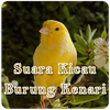 Suara Kicau Burung Kenari