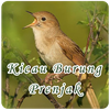 Suara Kicau Burung Prenjak