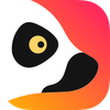 Lemur Browser Beta-Extensions