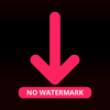Like Video Downloader No Logo