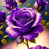 purple rose wallpaper