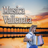 Vallenato music
