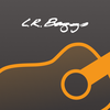 LR Baggs AcousticLive