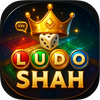 Ludo Shah - Dice Board Game